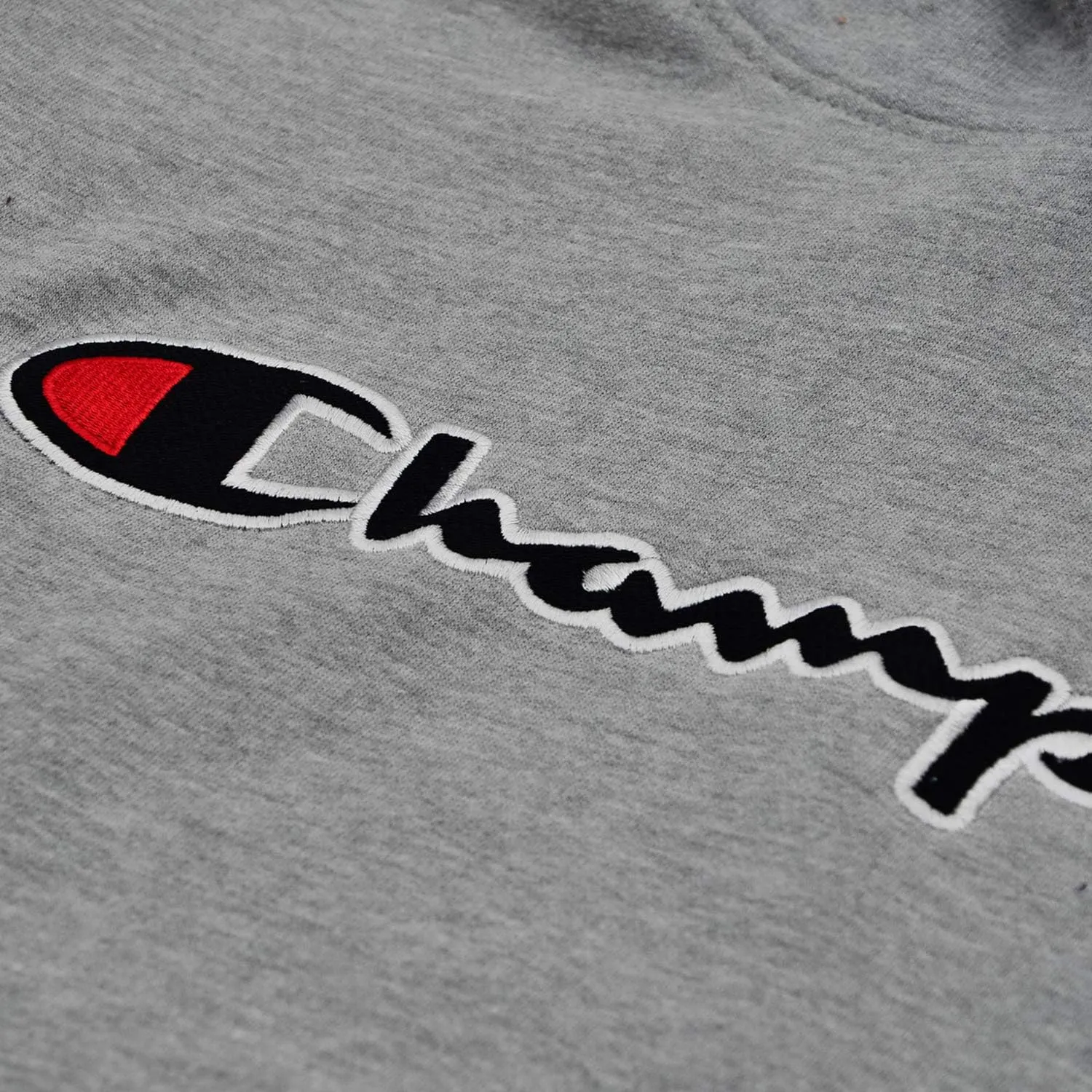 Champion Mens Hoodies Big and Tall - Embroidered Pullover Fleece Sweatshirt